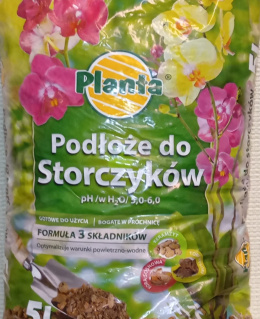 PODŁOŻE DO STORCZYKÓW 5L